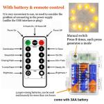 Himalayan Salt String Lights with Remote Control