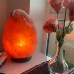 Himalayan Salt Lamp with Button Control – Pink Decor