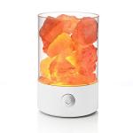 Himalayan Pink Salt Lamp with USB LED Light