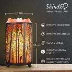 Himalayan Salt Lamp in Forest Design Basket
