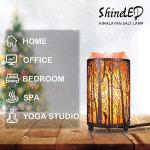 Himalayan Salt Lamp in Forest Design Basket