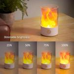 Himalayan Pink Salt Lamp with USB LED Light