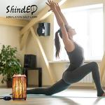 Himalayan Salt Lamp in Forest Design Basket