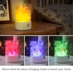 Himalayan Pink Salt Lamp with USB LED Light