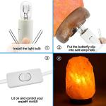 Salt Lamp Power Cord with Switch and Bulbs