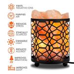 Himalayan Salt Lamp with Dimmer and Metal Basket