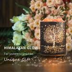 Himalayan Salt Lamp with Tree of Life Design