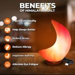 USB Pink Moon Shape Himalayan Salt Lamp