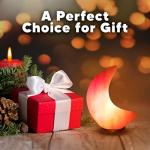 USB Pink Moon Shape Himalayan Salt Lamp