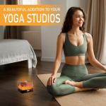 HISUNY Himalayan Salt Lamp with Dimmer Switch