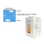 Pink Himalayan Salt Lamp Twin Pack for Home Décor