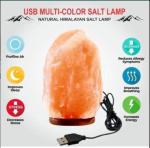 Himalayan Salt Lamp with Color Changing Glow