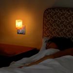 Himalayan Salt Rock Lamp Plug in Night Light Air Purifier Switchable Natural Crystal Mood Light Hand Crafted