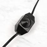 Himalayan Salt Lamp with Dimmer Switch, 3-5kg