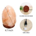 Color-Changing Himalayan Salt Lamp with Remote