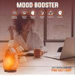 Himalayan Pink Salt Lamp Natural Rock Ionizer