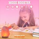 Himalayan Pink Salt Lamp Natural Rock Ionizer