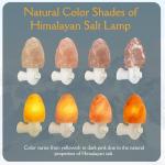 2 Pack Hand Carved Himalayan Salt Lamp Night Lights