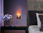 2 Pack Hand Carved Himalayan Salt Lamp Night Lights