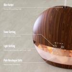 2-In-1 Essential Oil Diffuser and Salt Lamp