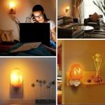 MCHERRY 2 Pack Himalayan Salt Lamp Night Light
