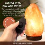 Himalayan Salt Lamp with Dimmer Switch and Wood Base