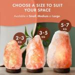 Himalayan Salt Lamp with Dimmer Switch and Wood Base