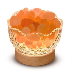 Himalayan Salt Lamp Bowl with USB and Dimmable Light
