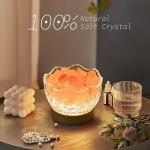 Himalayan Salt Lamp Bowl with USB and Dimmable Light