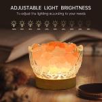 Himalayan Salt Lamp Bowl with USB and Dimmable Light