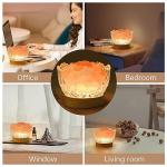Himalayan Salt Lamp Bowl with USB and Dimmable Light
