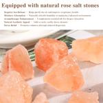 5-in-1 Essential Oil Diffuser and Salt Lamp