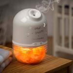 ClevaMama Himalayan Salt Lamp and Humidifier