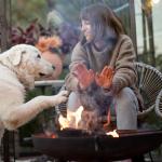 Cast Iron Garden Fire Pit and Patio Heater