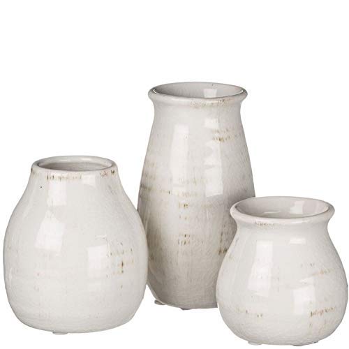 Sullivans Farmhouse Bud Vases for Home Decor