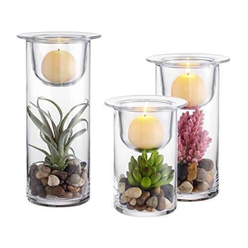 Decorative Glass Candle Holders with Succulents - Set of 3
