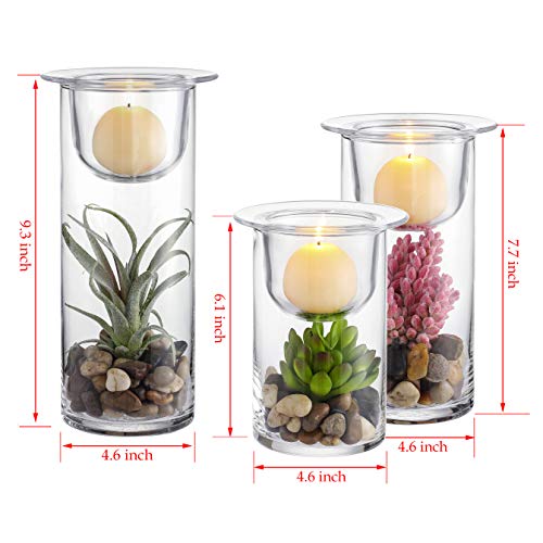 Decorative Glass Candle Holders with Succulents - Set of 3