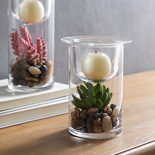Decorative Glass Candle Holders with Succulents - Set of 3