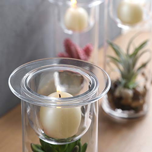 Decorative Glass Candle Holders with Succulents - Set of 3