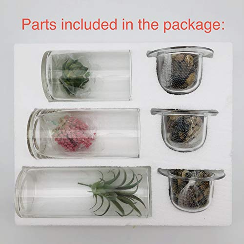 Decorative Glass Candle Holders with Succulents - Set of 3