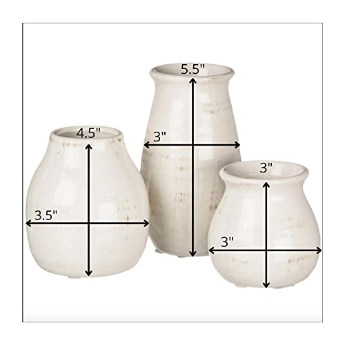 Sullivans Farmhouse Bud Vases for Home Decor