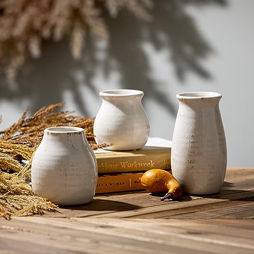 Sullivans Farmhouse Bud Vases for Home Decor