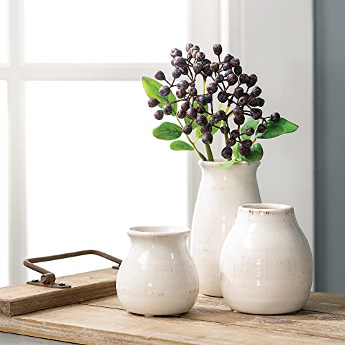 Sullivans Farmhouse Bud Vases for Home Decor