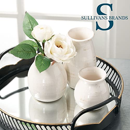 Sullivans Farmhouse Bud Vases for Home Decor