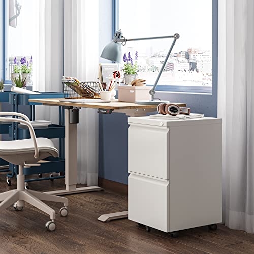 White Mobile File Cabinet with Lock – DEVAISE