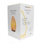 Pink Himalayan Salt Lamp with Button Control