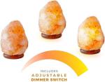 Himalayan Salt Lamp with Dimmer and Wood Base