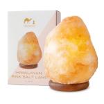 Himalayan Salt Lamp with Dimmer and Wooden Base