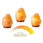 Himalayan Salt Lamp with Dimmer and Wooden Base