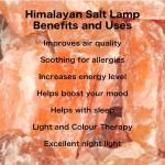 Himalayan Rock Salt Table Lamp with Metal Basket
